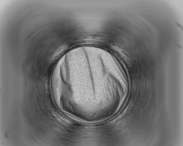 X0000094421403200711291538