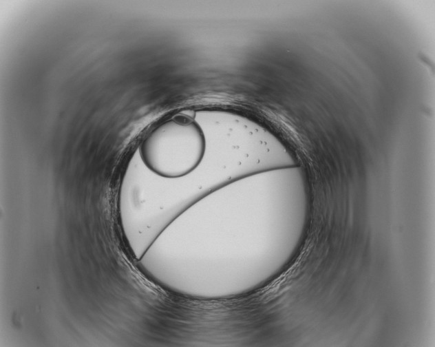 X0000094421404200711291538
