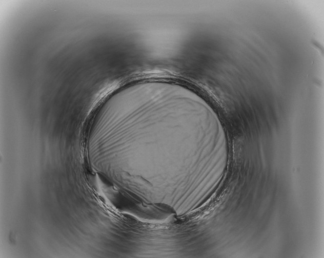 X0000094421405200711291538