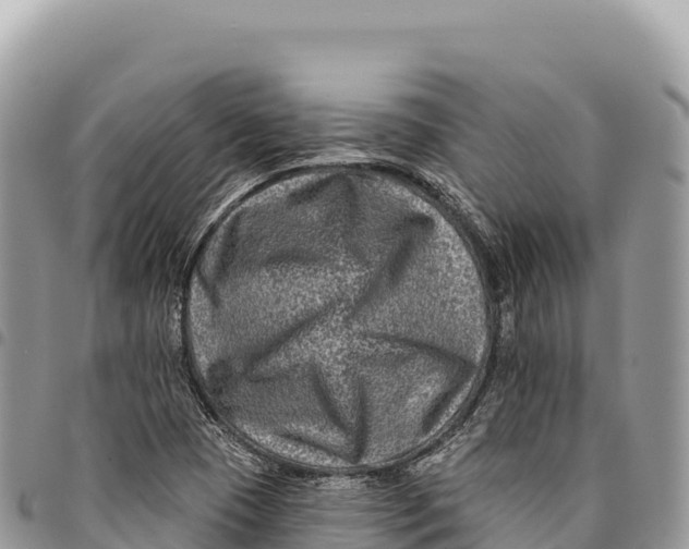 X0000094421409200711291538