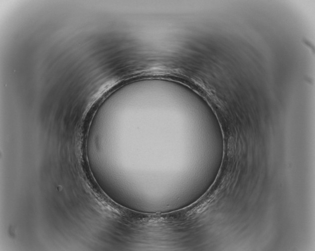 X0000094421410200711291538
