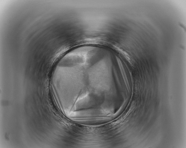X0000094421411200711291538