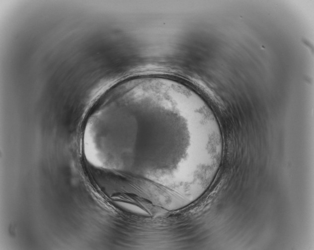 X0000094421413200711291538