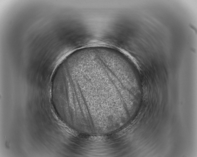 X0000094421415200711291539