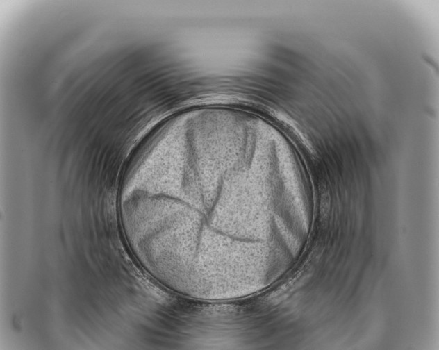 X0000094421417200711291539