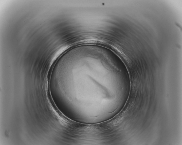 X0000094421418200711291539
