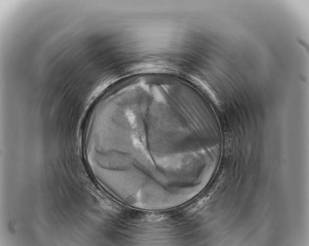 X0000094421419200711291539