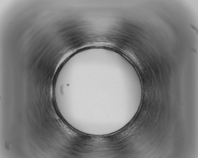 X0000094421420200711291539