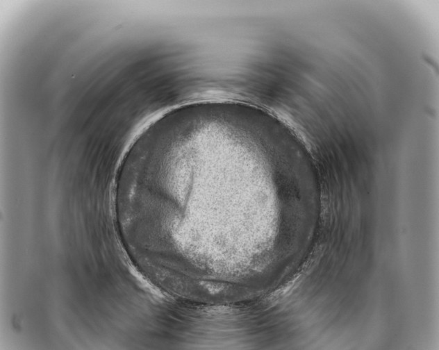 X0000094421421200711291539