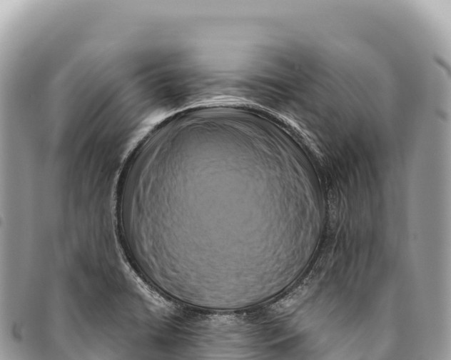 X0000094421422200711291539