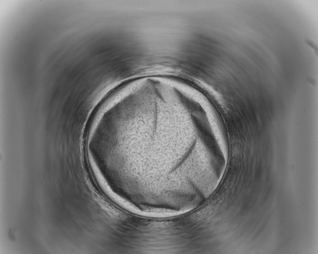 X0000094421423200711291539