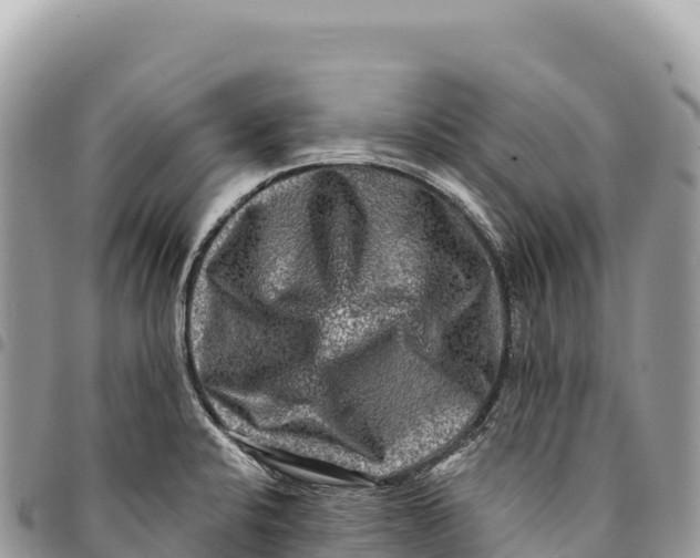 X0000094421424200711291539