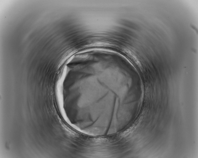 X0000094421425200711291539