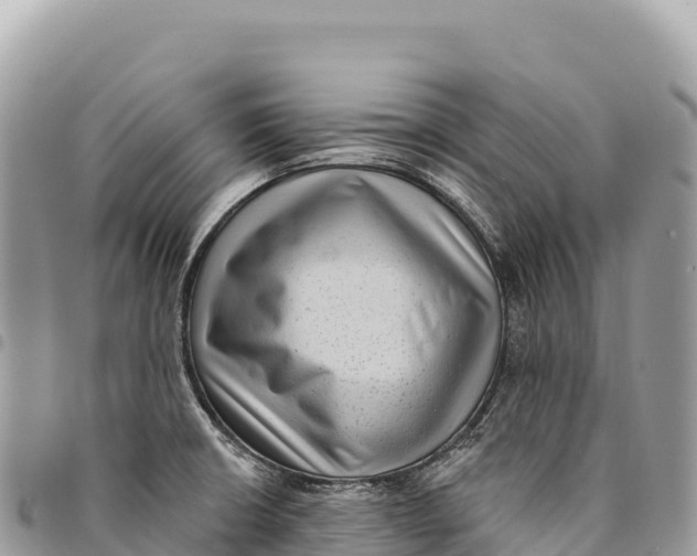 X0000094421426200711291539