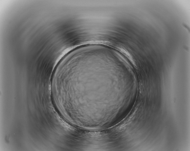 X0000094421428200711291539
