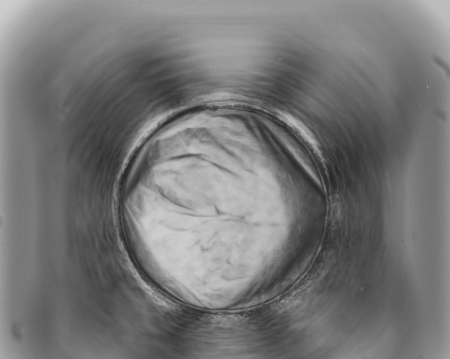 X0000094421429200711291539