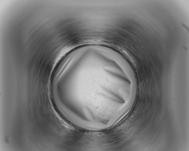 X0000094421432200711291539