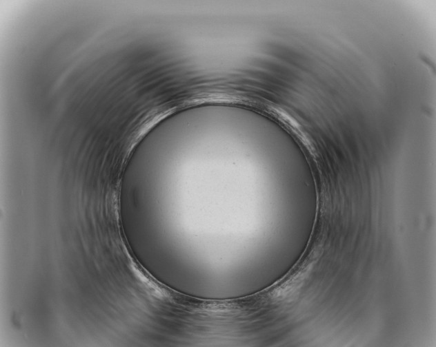X0000094421433200711291539