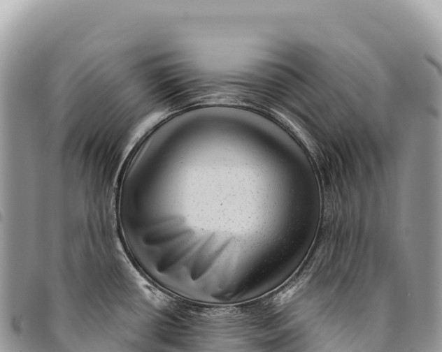 X0000094421434200711291539