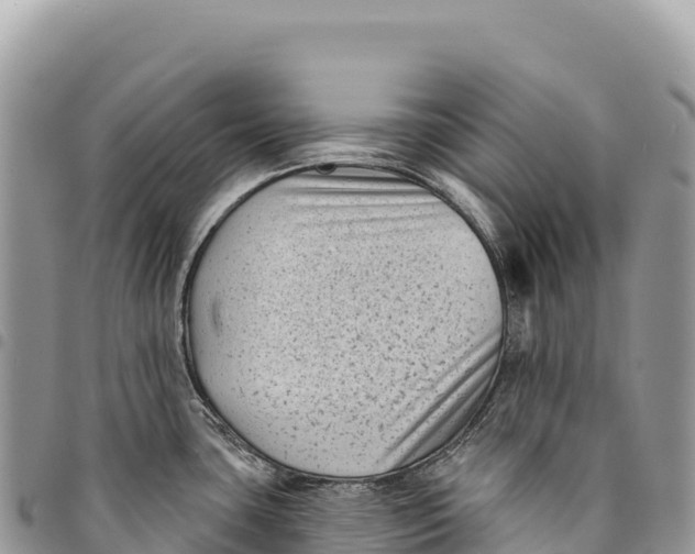 X0000094421435200711291539