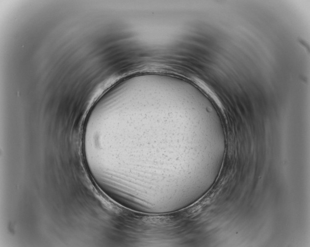 X0000094421437200711291539