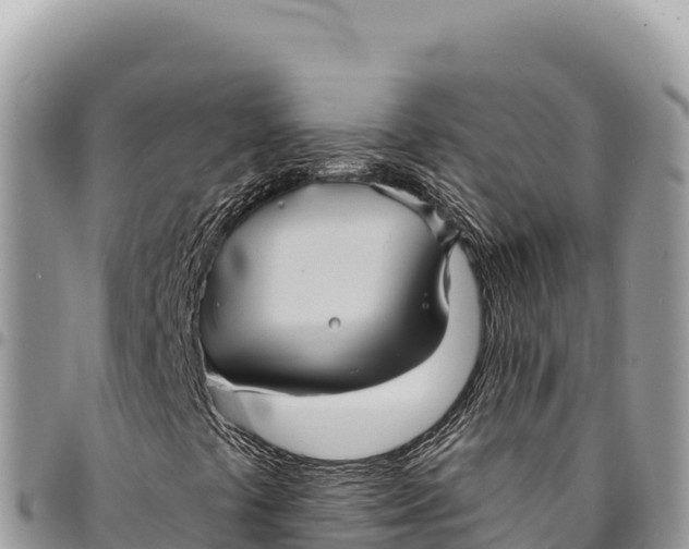 X0000094421441200711291538