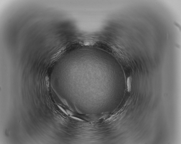 X0000094421443200711291538