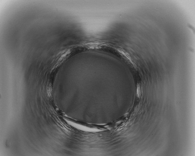 X0000094421444200711291538