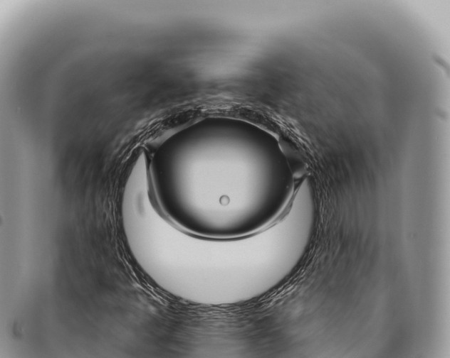 X0000094421445200711291538