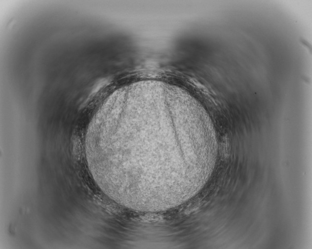 X0000094421446200711291538