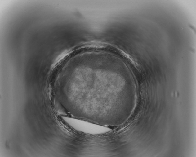 X0000094421448200711291538