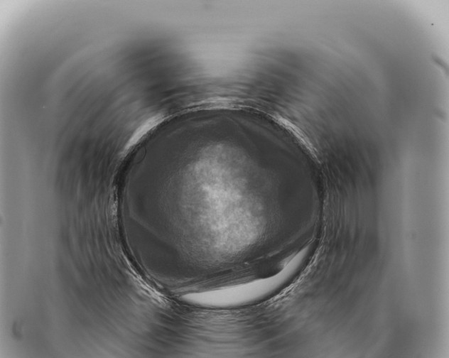 X0000094421450200711291538