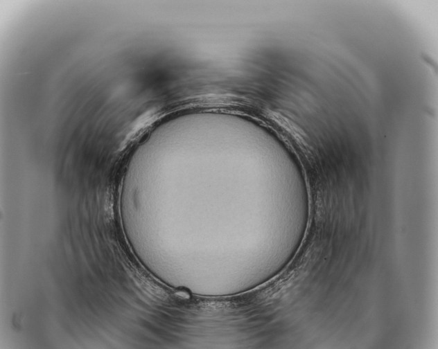 X0000094421451200711291538