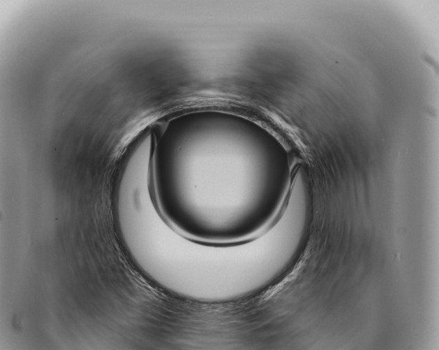 X0000094421453200711291538