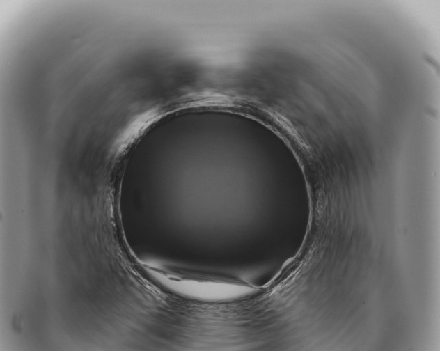 X0000094421455200711291538