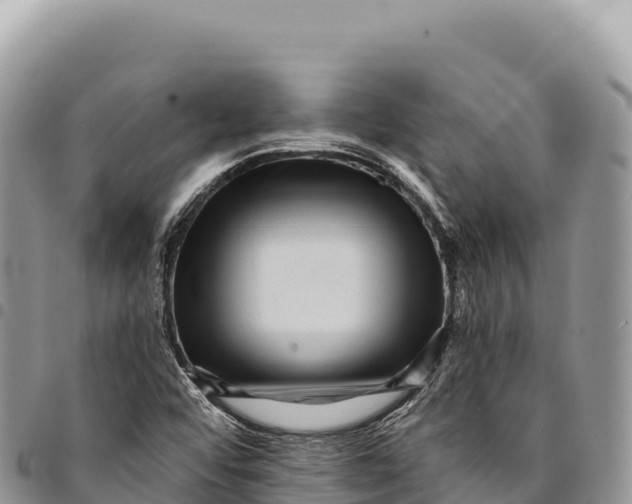 X0000094421456200711291538