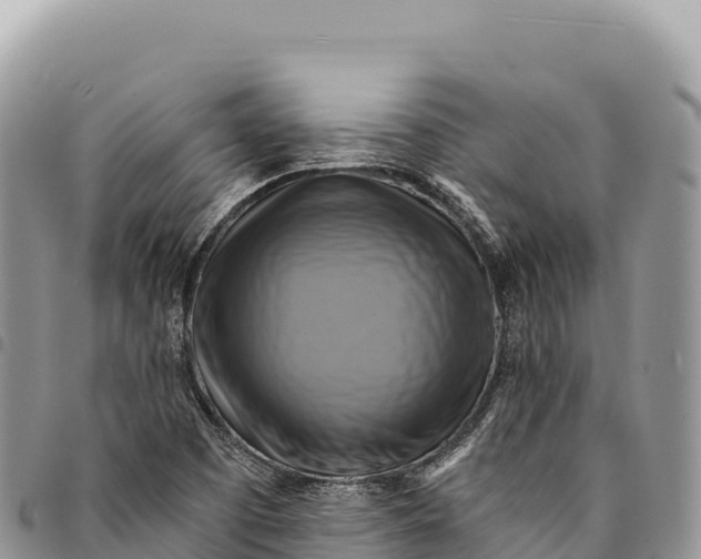 X0000094421457200711291538