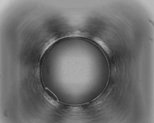 X0000094421460200711291538