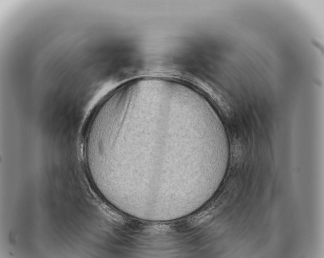 X0000094421462200711291538