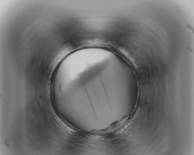 X0000094421463200711291538