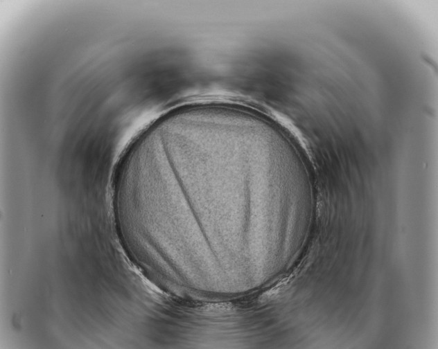 X0000094421464200711291538