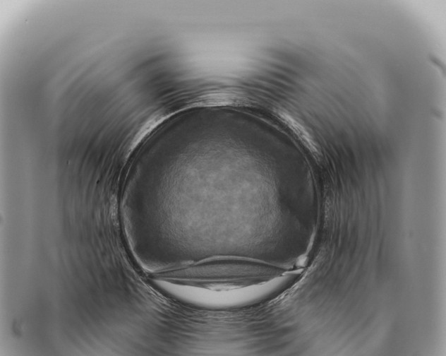 X0000094421465200711291538