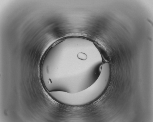 X0000094421468200711291538
