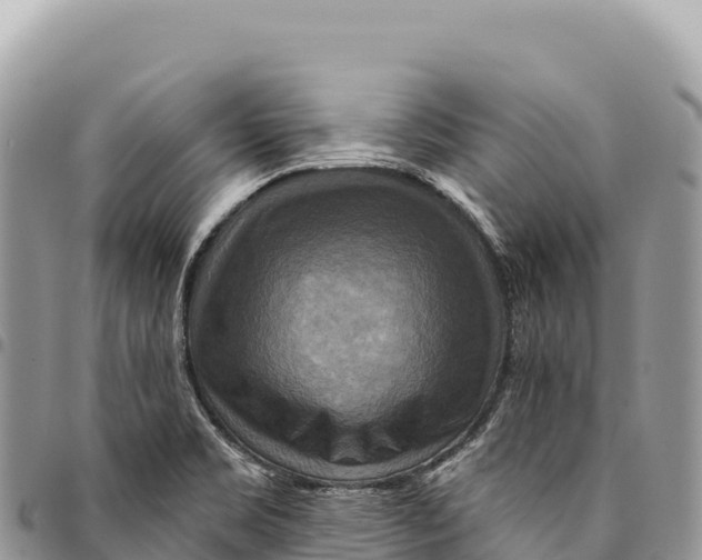X0000094421469200711291538