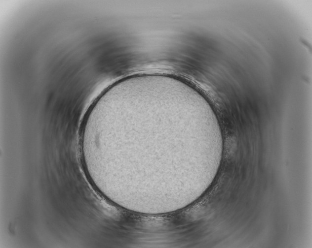 X0000094421470200711291538