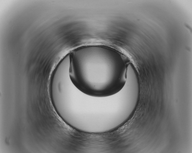 X0000094421472200711291538