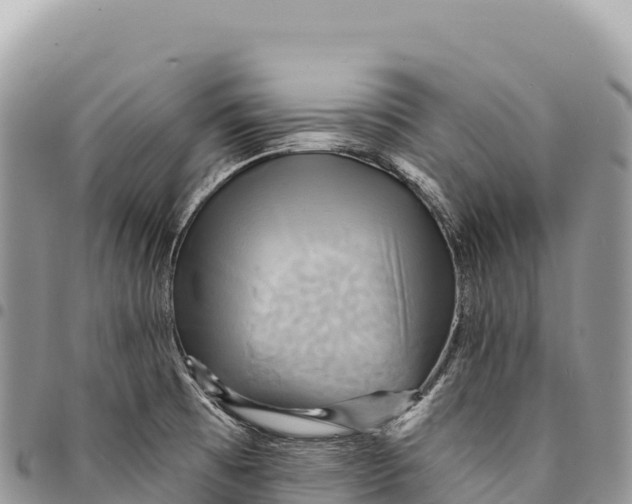X0000094421473200711291538
