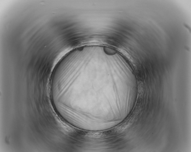 X0000094421474200711291538