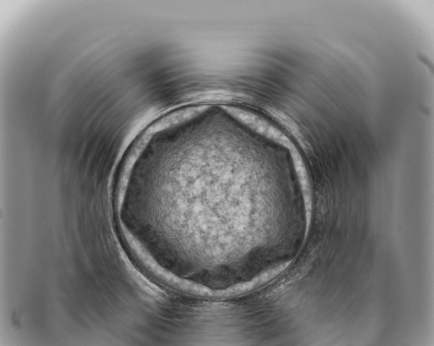 X0000094421475200711291538
