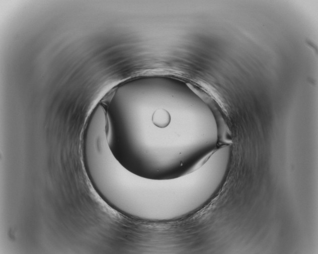 X0000094421476200711291538